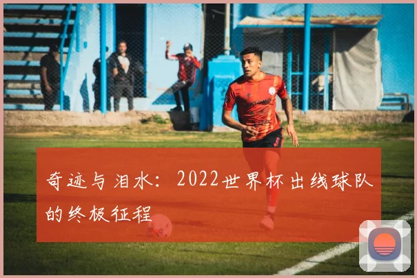 奇迹与泪水：2022世界杯出线球队的终极征程