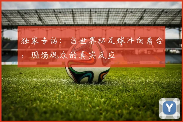 独家专访：当世界杯足球冲向看台，现场观众的真实反应