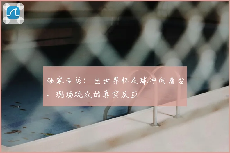 独家专访:当世界杯足球冲向看台,现场观众的真实反应