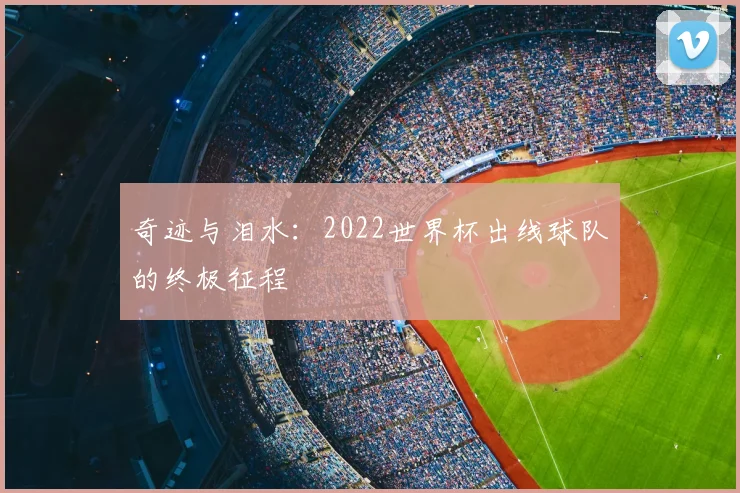 奇迹与泪水：2022世界杯出线球队的终极征程