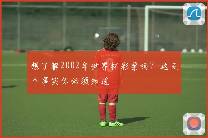 想了解2002年世界杯彩票吗？这五个事实你必须知道